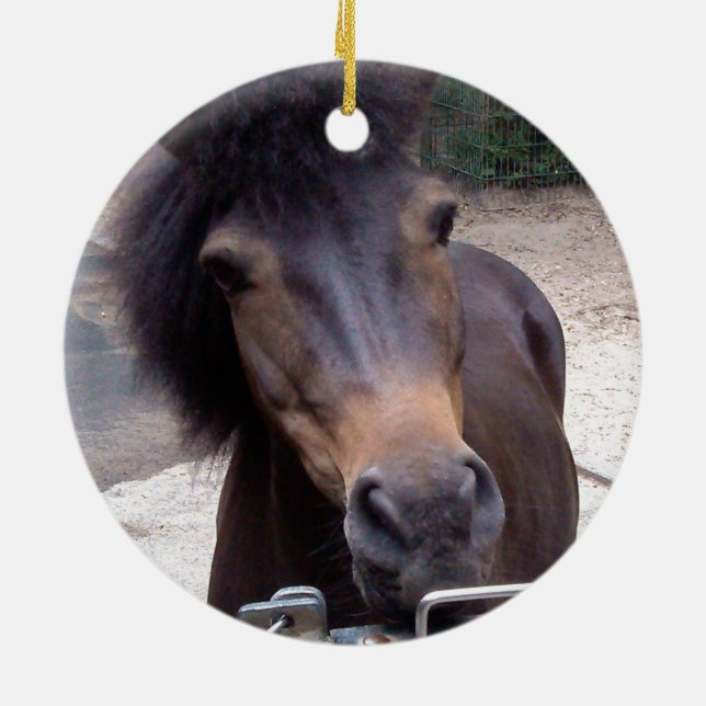 Tier, Pferd, Pony Keramik Ornament (Hinten)