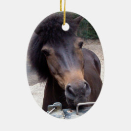 Tier, Pferd, Pony Keramik Ornament