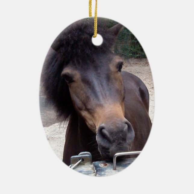 Tier, Pferd, Pony Keramik Ornament (Hinten)