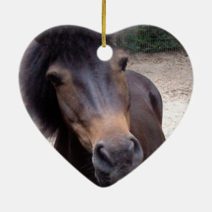 Tier, Pferd, Pony Keramikornament