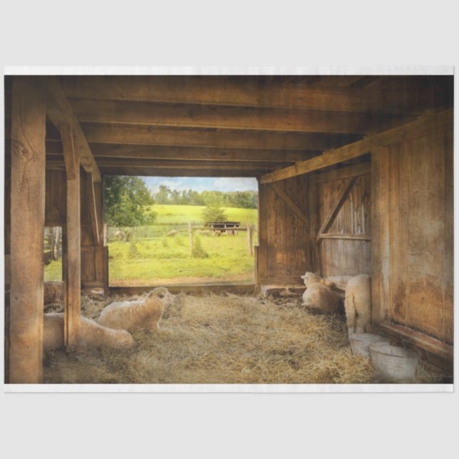 Tier - Schafe - gezählt Schafe Seidenpapier (Vorderseite)