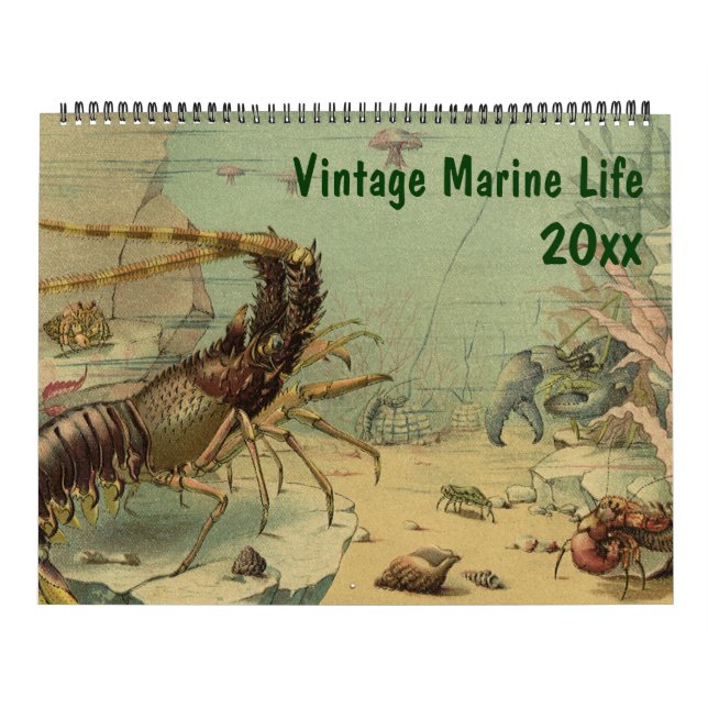Tier- und Meereslebewesen im Vintagen Ozean Kalender (Titelbild)
