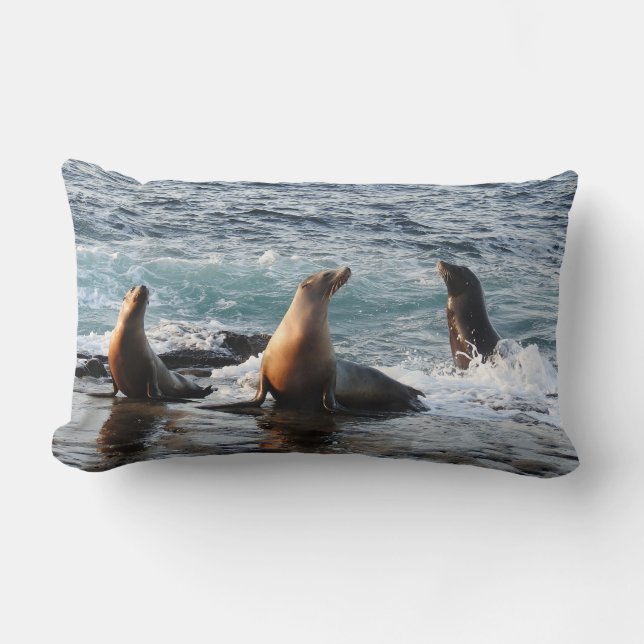 Tier- und Pflanzenpilz, kalifornische Seelöwe, Nat Lendenkissen (Vorderseite)