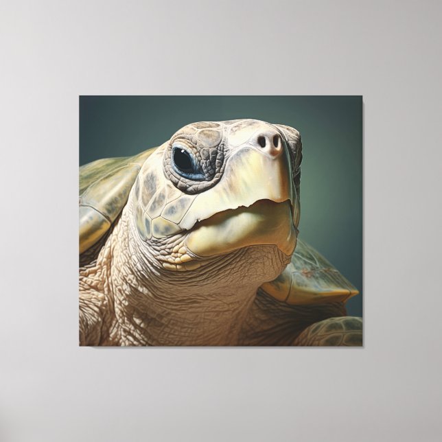 Tier- und Pflanzenwelt Art: Kemps Ridley Sea Turtl Leinwanddruck (Vorderseite)