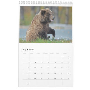 Tier-Wandkalender 2016 - Vögel und Säugetiere Kalender