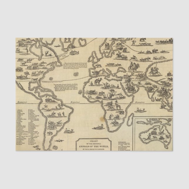 Tier-Welt Seidenpapier (Vorderseite)