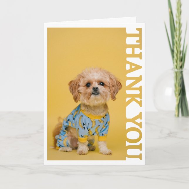 Tieradoption Tierarzt Bilderrahmen Danke (Vorderseite)
