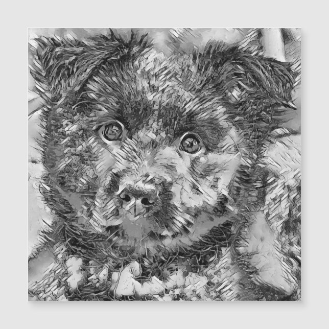 TierArtBW_Dog_005 Magnetkarte (Vorderseite)