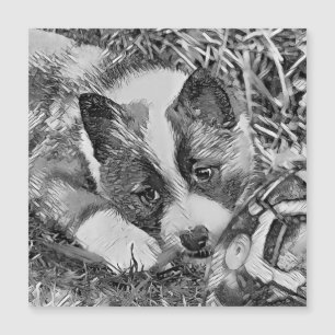 TierArtBW_Dog_012 Magnetkarte