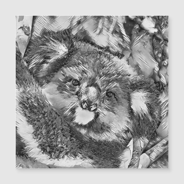 TierArtBW_Koala_001 Magnetkarte (Vorderseite)
