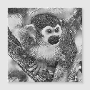 TierArtBW_Monkey_002 Magnetkarte