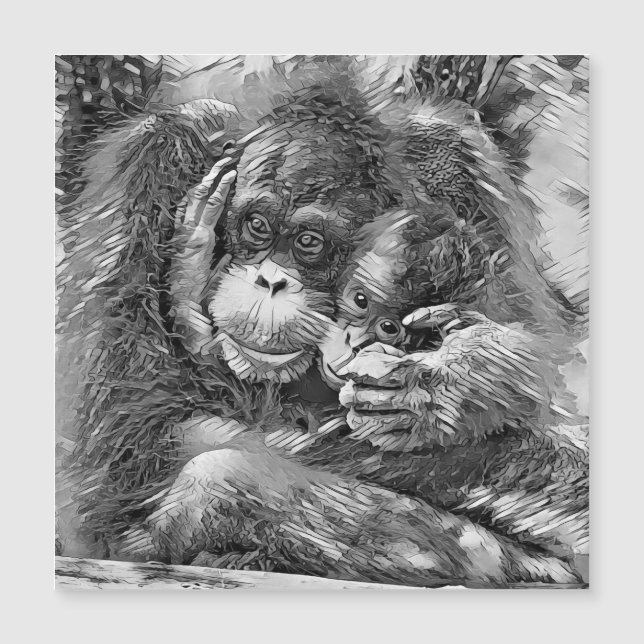 TierArtBW_OrangUtan_001 Magnetkarte (Vorderseite)