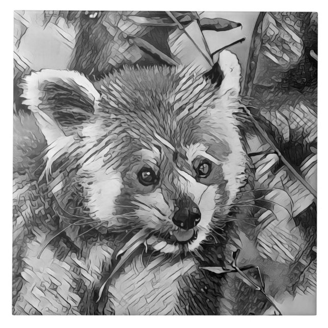 TierArtBW_RedPanda_003 Fliese (Vorderseite)