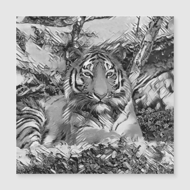 TierArtBW_Tiger_001 Magnetkarte (Vorderseite)