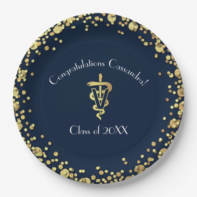 Tierarzt-Abschluss Navy Blau Gold Pappteller (Vorderseite)