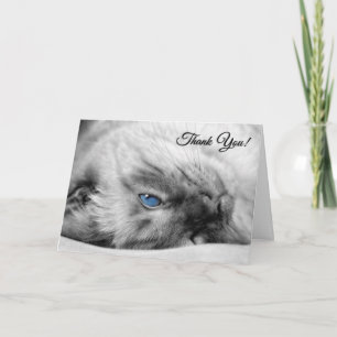 Tierarzt aus Katze Siamese Dankeskarte