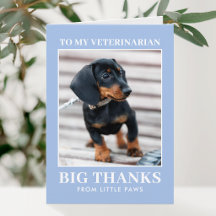 Tierarzt Danke Haustier Hund Foto Blau Modern