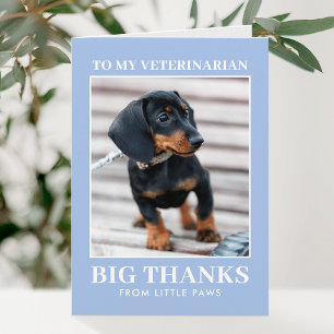 Tierarzt Danke Haustier Hund Foto Blau Modern