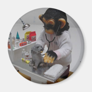 Tierarzt Magnet