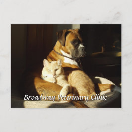 tierärztliche Ernennung von Hunden und Katzen Post Postkarte