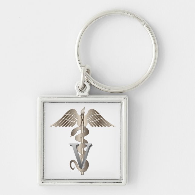 Tierärztlicher Caduceus Schlüsselanhänger (Vorne)
