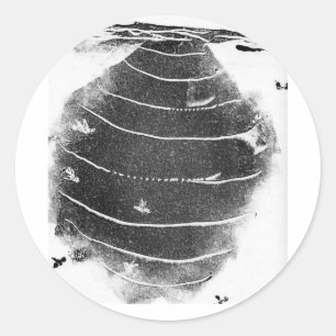 Tieraufkleber Runder Aufkleber