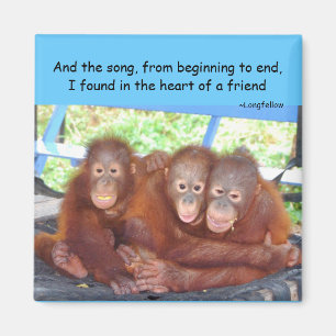 Tierbaby-Freundschaft 3 nicht eine Menge Magnet