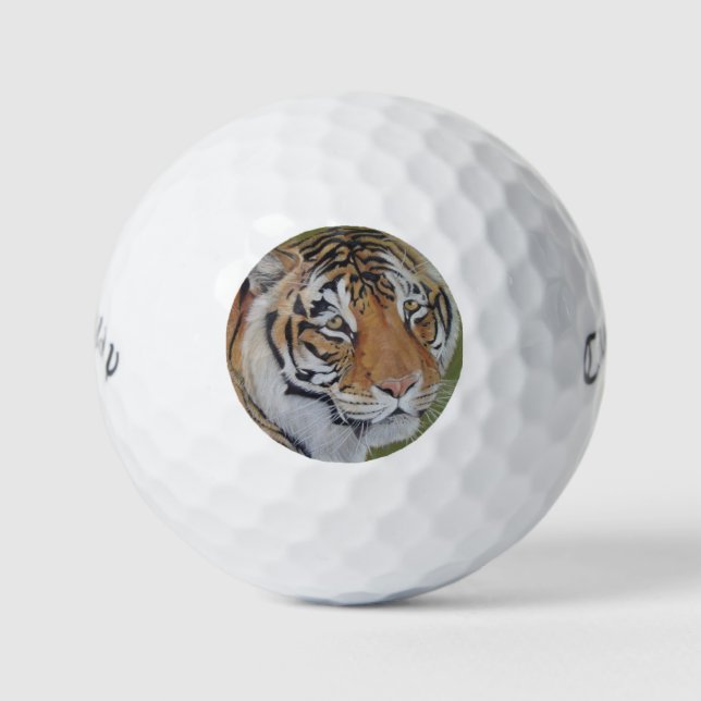 Tierbild des großen Katzenigers Golfball (Vorderseite)