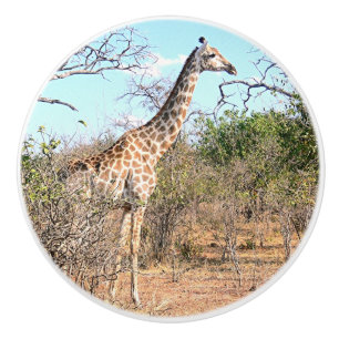 TIERDEKOR FÜR KINDERZIMMER/GIRAFFE KERAMIK WISSENS KERAMIKKNAUF