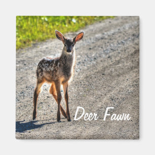 Tierdesign von Male Deer Fawn Magnet