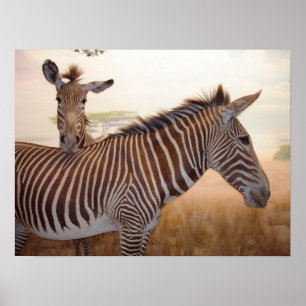 Tierdruck - Afrika - Zebra Poster