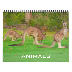 Tiere 2025 kalender
