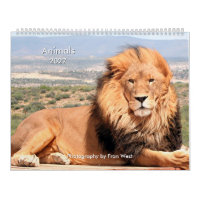 Tiere 2027 Kalender