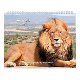 Tiere 2027 Kalender