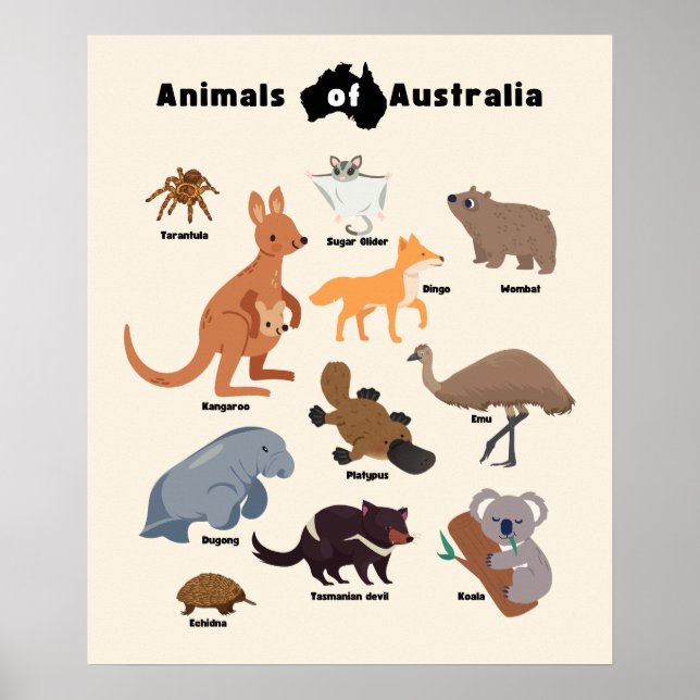 Tiere aus Australien Aussie Wildlife Poster (Vorne)