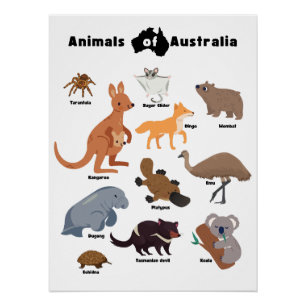 Tiere aus Australien Aussie Wildlife Poster