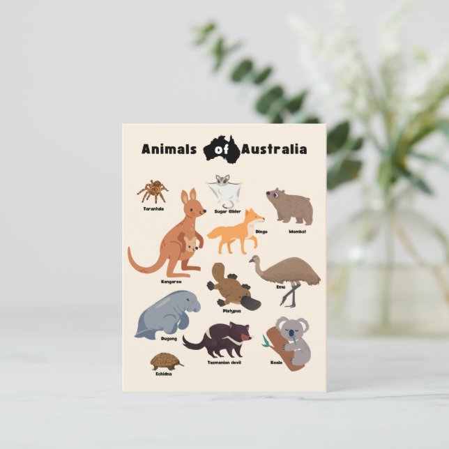 Tiere aus Australien Aussie Wildlife Postkarte (Stehend Vorderseite)