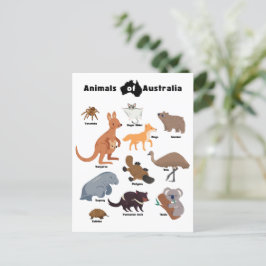 Tiere aus Australien Aussie Wildlife Postkarte