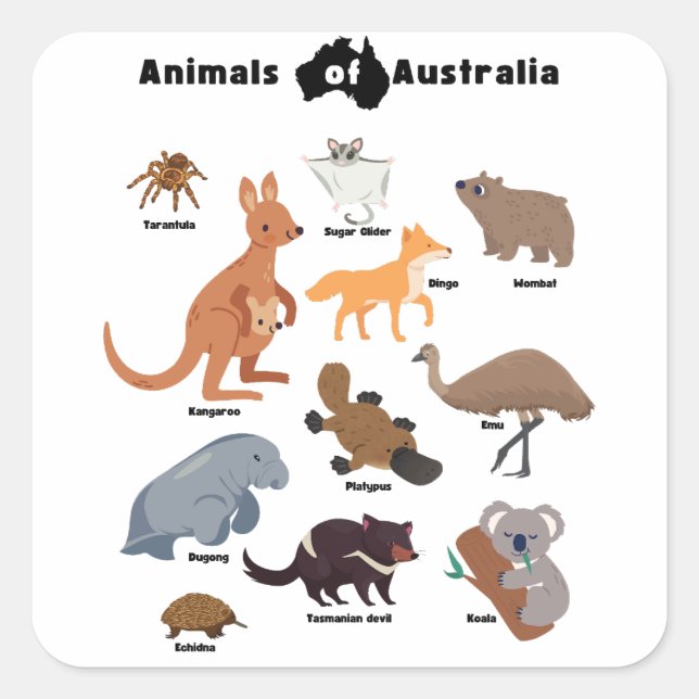 Tiere aus Australien Aussie Wildlife Quadratischer Aufkleber (Vorderseite)