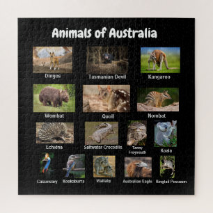 Tiere aus Australien Jigsaw Puzzle