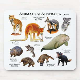 Tiere aus Australien Mousepad