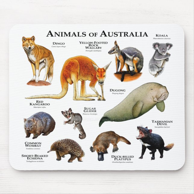 Tiere aus Australien Mousepad (Vorne)
