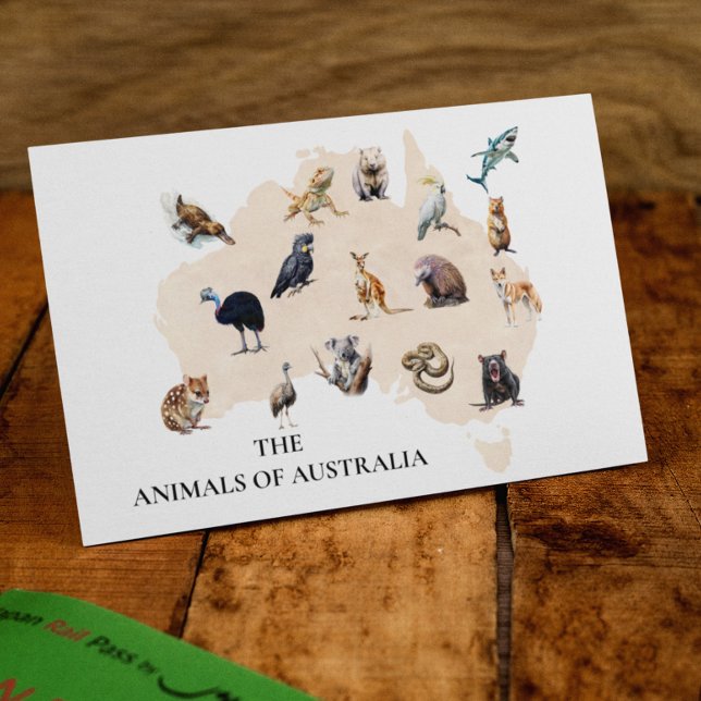 Tiere aus Australien Postkarte (Von Creator hochgeladen)