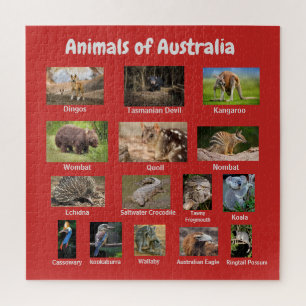 Tiere aus Australien Puzzle