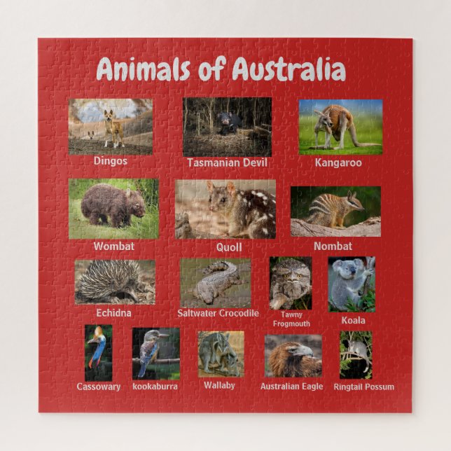 Tiere aus Australien Puzzle (Vertikal)