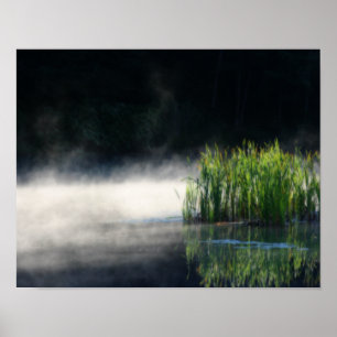Tiere aus dem Nebel auf einem Teich Orton Poster