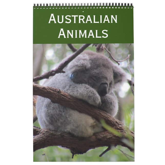 Tiere Australiens 2027 Kalender (Titelbild)