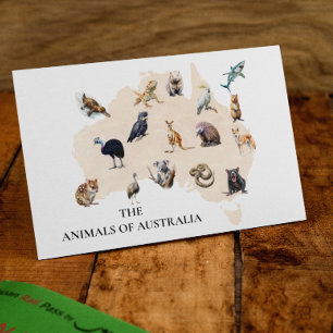 Tiere Australiens   Postkarte