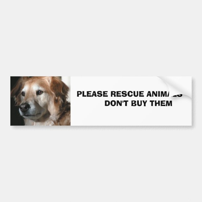 Tiere       … autoaufkleber (Vorne)