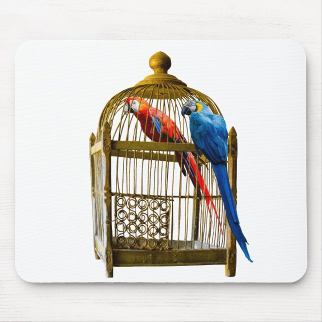 Tiere Bird Cat Parrot Käfig Locked Freedom Gefängn Mousepad (Vorne)